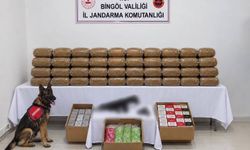 Bingöl'de kesinleşmiş hapis cezası bulunan 4 şüpheli yakalandı
