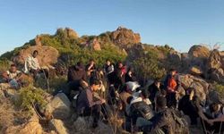 Bodrum'da 34 düzensiz göçmen yakalandı