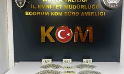 Bodrum'da sahte dolar operasyonu: 46 bin 200 dolar ele geçirildi
