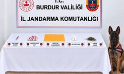 Burdur'da 6 bin 600 kullanımlık bonzai ele geçirildi: 3 tutuklama