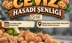 Çameli'de Ceviz Hasat Şenliği coşkusu yaşanacak