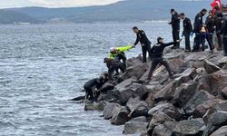 Çanakkale'de denizde erkek cesedi bulundu
