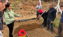 Çelikhan'da 10 üreticiye 90 kilogram salep yumrusu dağıtıldı