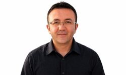Ceviz toplarken yüksek gerilim akımına kapılan adam hayatını kaybetti