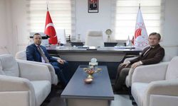 Cizre'de tarım ve hayvancılık çalışmaları ele alındı