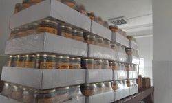Coğrafi işaretli Ardahan çiçek balının dolumu gerçekleştirildi
