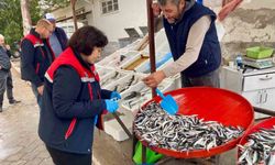 Dazkırı'da balık satış noktalarına denetim