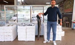 Denize kıyısı olmayan Kahramanmaraş'ta balık pazarı hareketlendi