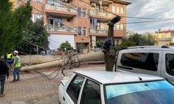 Devrilen elektrik direği otomobile çivi gibi saplandı