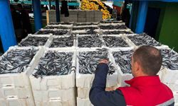 Didim'de su ürünleri avcılığı denetimleri sürüyor