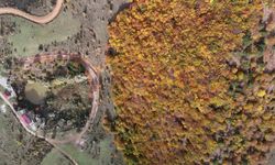 Dipsiz Göl ve Şelalesi'nde sonbahar manzaraları görenleri mest ediyor