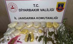 Diyarbakır'da 59 bin kök kenevir ile 109 kilo uyuşturucu ele geçirildi