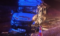 Doğanşehir'de tır ile minibüs çarpıştı: 1 yaralı