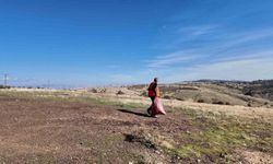 Elazığ Belediyesi'nden sokak hayvanlarına mama ve su desteği