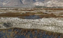 Erzincan'da Kuş Cenneti'nde göç öncesi son görüntüler