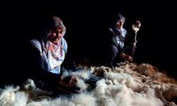 Erzincan'dan iki fotoğraf uluslararası yarışmada sergilenmeye değer bulundu