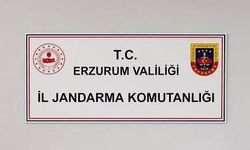 Erzurum'da siber suçlardan 25 şahıs hakkında adli işlem başlatıldı