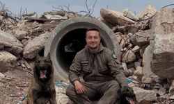 Eskişehir İtfaiyesi'nin arama kurtarma köpekleri zorlu sınavı başarıyla geçti