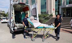 Hastalar evlerinde muayene ediliyor, sağlık kuruluşlarına ulaştırılıyor