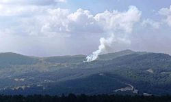 Hisarcık'ta ormana sıçrayan yangında 6 dekar alan zarar gördü