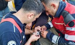 İskenderun'da ağaca takılan güvercin itfaiye ekiplerince kurtarıldı