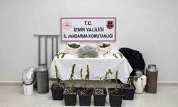İzmir'de saksıda uyuşturucu yetiştiren şüpheli yakalandı