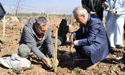 Karabük'te 250 fidan toprakla buluştu