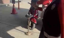 Kediye taşla vuran kadın yakalandı