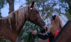 Kocaeli'de 117 binici dörtnala dayanıklılık sınavı verdi