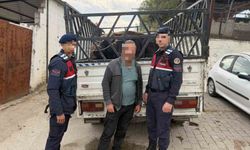 Koçarlı'da çaldığı büyükbaş hayvanları satan şüpheli tutuklandı