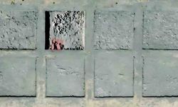 Kültepe'de 2 bin yılı aşkın geçmişe sahip mozaik döşemeli yapı gün yüzüne çıkarıldı