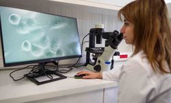 Medical Point'te klinik deneyim mühendislik gücü ile birleşti