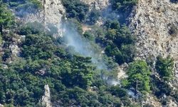 Muğla'da makilik alanda çıkan yangın kontrol altına alındı