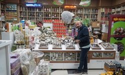 Muş'ta havalar soğudu, aktarlarda yoğunluk arttı