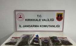 Narkotik köpeği 'Evin' uyuşturucuyu tespit etti: Bahçede kenevir ve esrar ele geçirildi