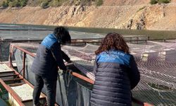 Ordu'da alabalık tesislerine denetim