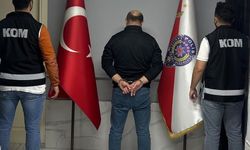 Ordu'da kırmızı bültenle aranan şahıs yakalandı