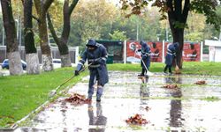 Osmangazi Belediyesi'nden sonbahar temizliği
