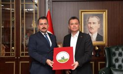 Osmangazi'de Bursa'nın jeolojik yapısına mercek tutulacak