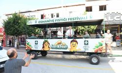 Osmaniye'de festival öncesi Başkan Çenet çiftçilerle fıstık hasadı yaptı