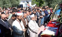 Portekiz'de yaşanan acının ateşi Aydın'a düştü