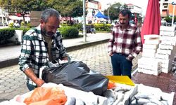Rize'de palamutun 3 tanesi 100 TL'den satılıyor