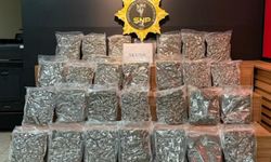Şanlıurfa'da yolcu otobüsünde 16 kilo 400 gram skunk ele geçirildi