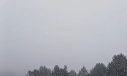 Sarıkamış'ta yağmur zirvede kara dönüştü