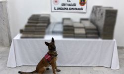 Siirt'te kömür çuvallarının arasına gizlenmiş 10 bin 250 paket kaçak sigara ele geçirildi