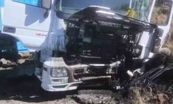 Siverek'te kontrolden çıkan tırın sürücüsü yaralandı