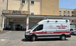 Siverek'te otomobil şarampole girdi: 3 yaralı