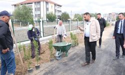 Sorgun'da yürüyüş ve bisiklet yolları genişliyor