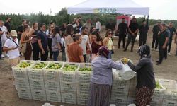 Sunar Yatırım'dan Lezzet Festivali kapsamında hasat etkinliği