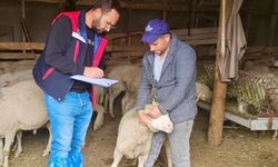 Sürdürülebilir Koyun Projesi çerçevesinde işletme denetimleri sürüyor